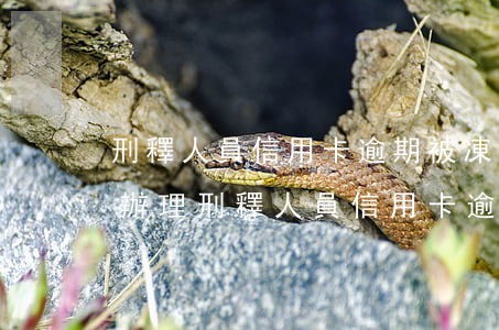 刑釋人員信用卡逾期被凍結(jié)怎么辦理，刑釋人員信用卡逾期被凍結(jié)，如何解凍？